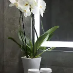 Apartmanhotel Warwick Reine Astrid -